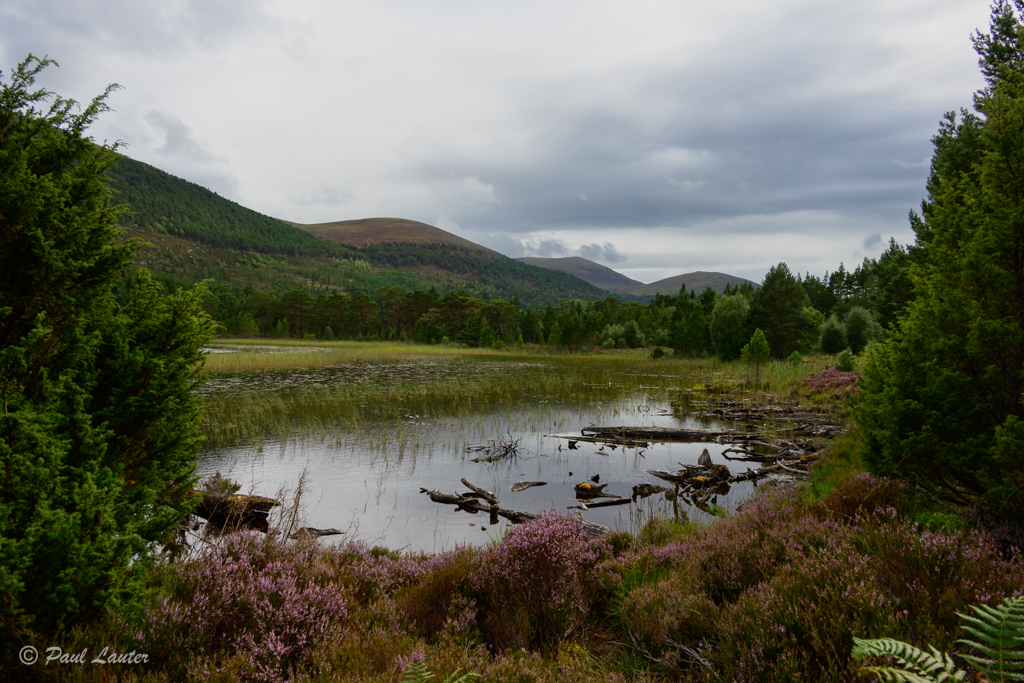 Loch Gamhna