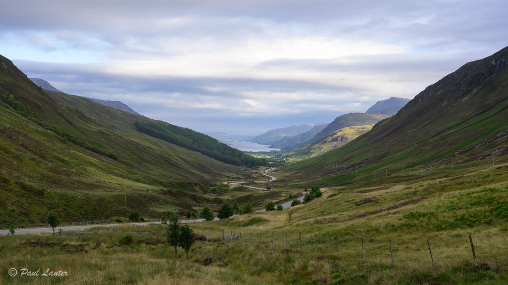 Glen Docherty