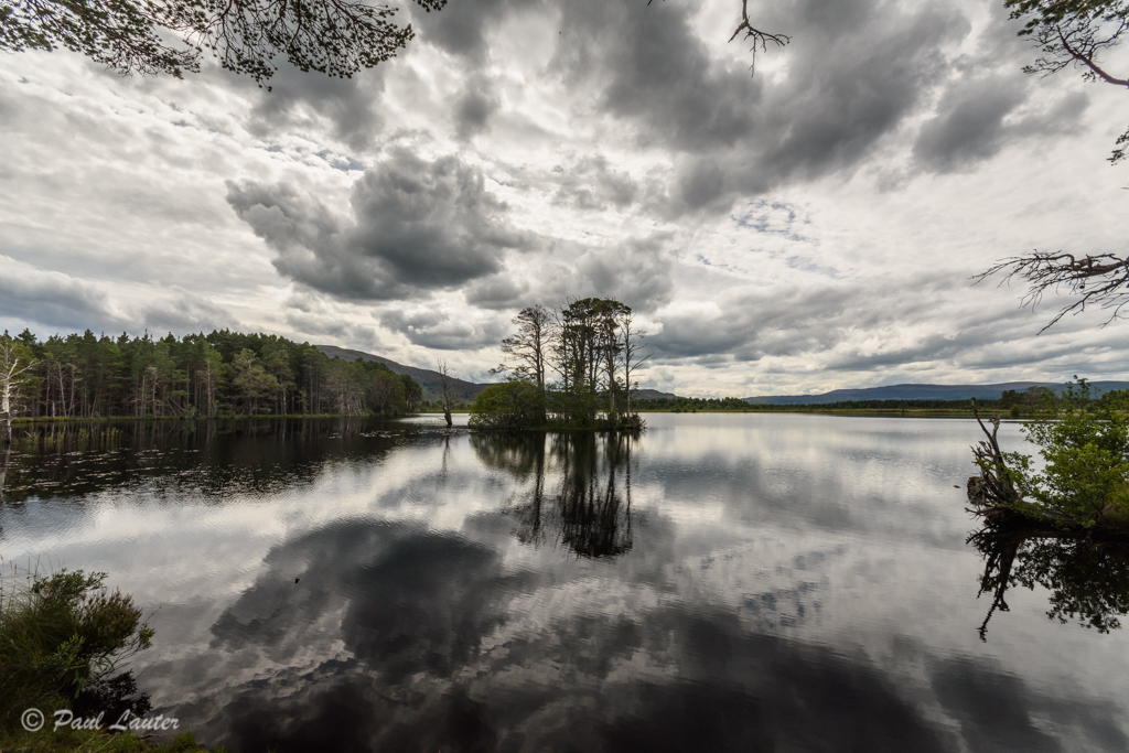 Views of RSPB Loch Garten
